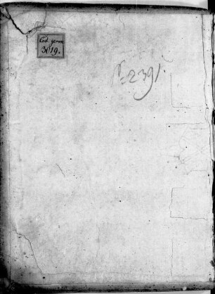 Eines Ungenannten Chronik von Regensburg bis 1586 - BSB Cgm 3019