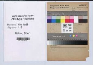 Entnazifizierung Albert Balzer , geb. 00.00.0000 (Stadtamtmann)
