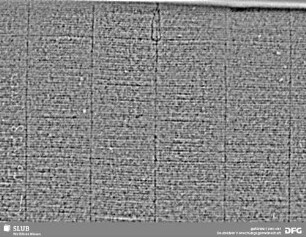 Wasserzeichen S.23_24