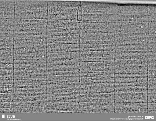 Wasserzeichen S.23_24