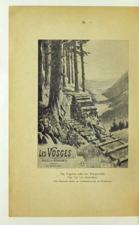 Die Vogesen oder der Wasgenwald. Das Tal von Gerardmer