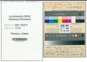 Entnazifizierung Walter Plessow , geb. 15.05.1908 (Sparkasseninnenrevisor)