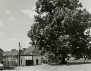 Bauernhof, Jesewitz