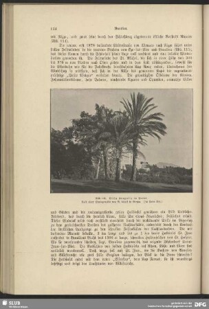 Villa Gropallo in Nervi