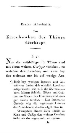 Erster Abschnitt. Vom Knochenbau der Thiere überhaupt.