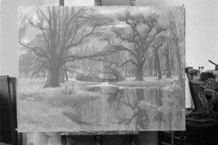Landschaft mit Fluß : Landschaft mit Fluß. Öl. um 1952