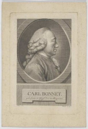 Bildnis des Carl Bonnet