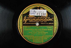 Geschichten aus dem Wiener Wald : Walzer / (Johann Strauss)