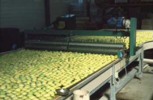 Fotografie: Gartenbautechnik, Nacherntetechnik, Aufbereitung