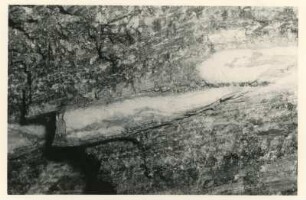 Freital. Steinkohlebergbau. Grubenfeld Heidenschanze. Pfeiler N in Strecke 100 West (R 54 07505, H 56 53501). Falte (Fließfaltung) der Großen Lette. Ausschnitt