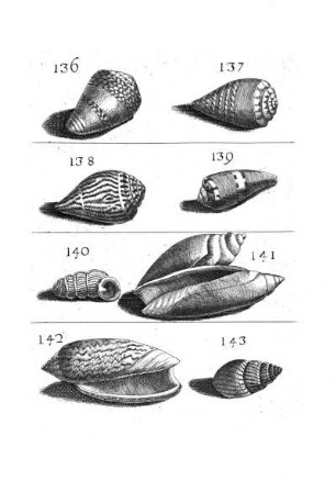 136. - 143.