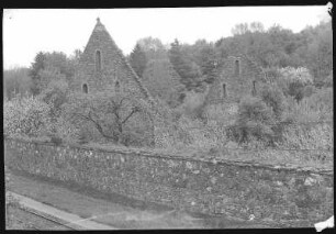Altzella. Klosterruine, Klostermauern