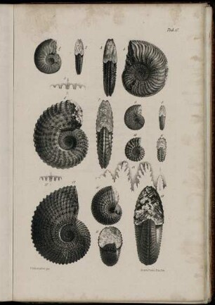 Fig. 1-17