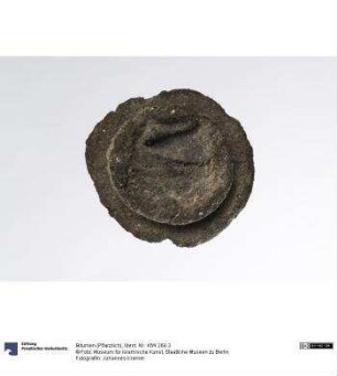 Bitumen (Pflanzlich)