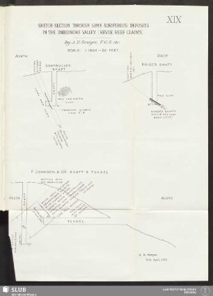 XIX. Sketch-Section through some auriferous deposits in the Umhungwe Valley (Revue Reef Claims)