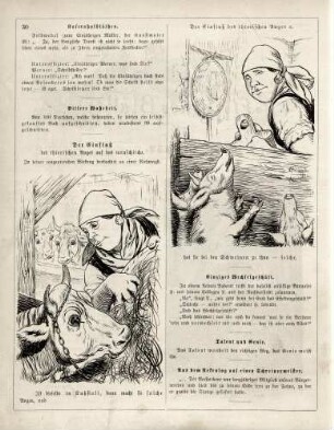 "Der Einfluß des thierischen Auges auf das menschliche"