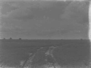 Lüneburger Heide : Flachwellige Heideladschaft