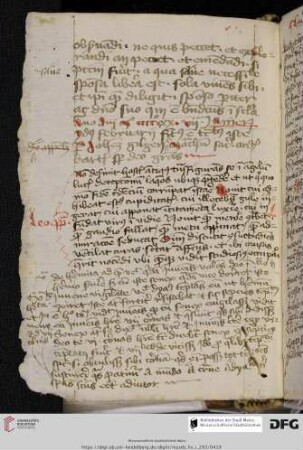 Exzerpt aus Bernardus Claraevallensis: Sermones in Cantica canticorum