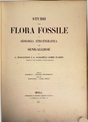 Studii sulla flora fossile e geologia stratigrafica del Senigalliese