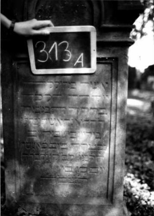 Grabstein 313 (Index: 100111990) Material: Sandstein Zustand: leicht verwittert Maße HxBxT: 140x59x30 cm Beschreibung: Stele, profilierter Sockel, eingezogener Rundbogenabschluß mit Verdachung, rechteckiges Schriftfeld eingetieft: Grabstein 313A