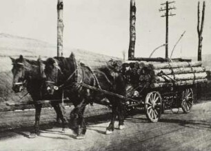 Pferdewagen, mit Rundholz beladen