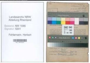 Entnazifizierung Herbert Fehlemann , geb. 05.12.1902 ()