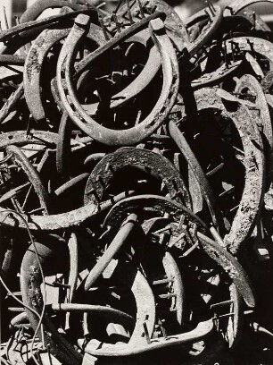 "horse shoes"