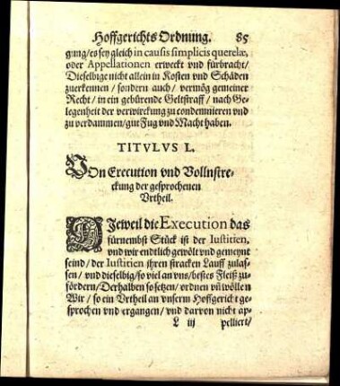 Titvlvs L. VOn Erecution vnd Vollnstreckung der gesprochenen Vrtheil.
