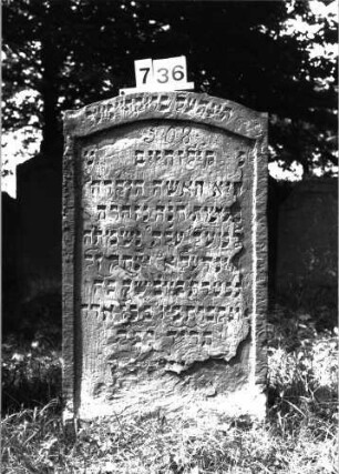 Grabstein 736