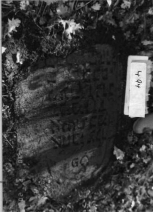 Grabstein 494