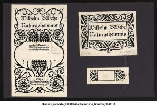 Diederichs-Graphik 0621