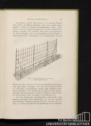 Fig. 33. Einseitiges Spalier- und davor Cordongerüst (Eisenkonstruktion).