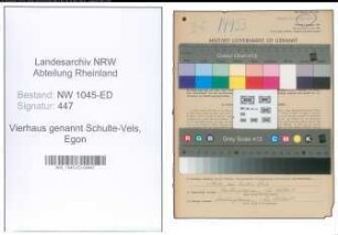 Entnazifizierung Egon Vierhaus genannt Schulte-Vels , geb. 21.03.1897 (Tanzlehrer)