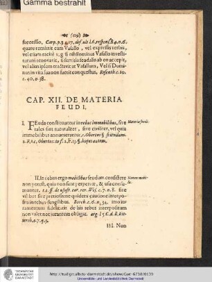 Cap. XII. De Materia Feudi.