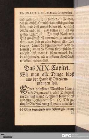 Das XIX. Capitel.