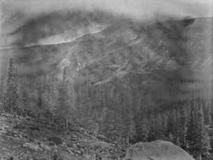 Bergtal : Blick in ein bewaldetes Bergtal