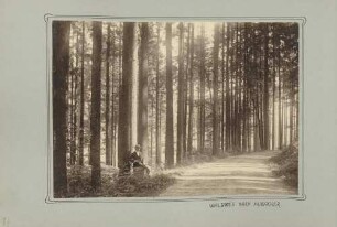 Waldweg nach Hubacker im Renchtal