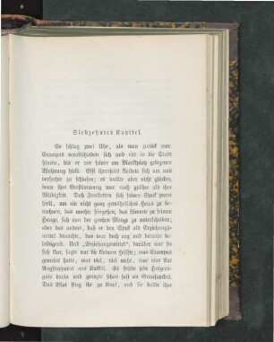 Siebzehntes Kapitel