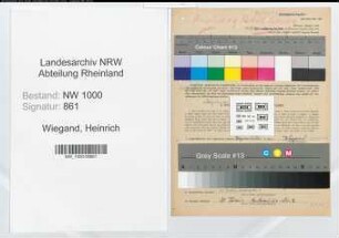 Entnazifizierung Heinrich Wiegand, geb. 12.05.1899 (Lagerarbeiter)