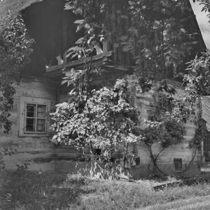 Strohgedecktes Blockhaus in Burg-Kolonie. : Ze słomu kryta kładźita chěža w Prizaŕskich Bórkowach.