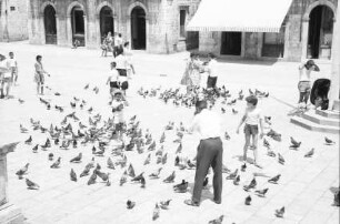 Dubrovnik: Taubenfütterung am Luza Platz