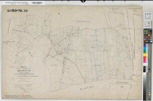 Ksp. Coesfeld (Coesfeld), Zusammenlegung Gaupel, Urkarte 1 Flur 3K, Bl.2 Osterwick Flur 14, Billerbeck, Ksp., Flur 1