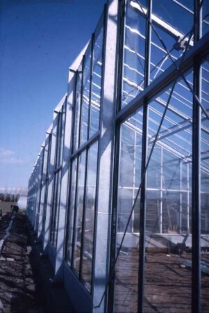Fotografie: Gartenbautechnik-Gewächshaus, Bau