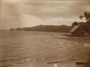 Küste (Hamburger Südsee-Expedition 1908-1910)