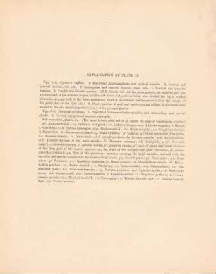 Explanation of plate II.