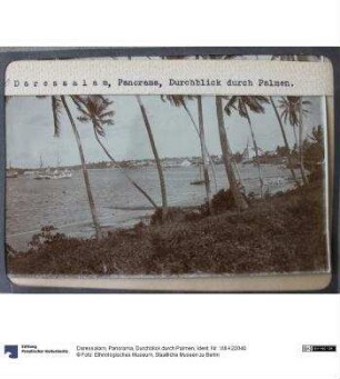 Daressalam, Panorama, Durchblick durch Palmen