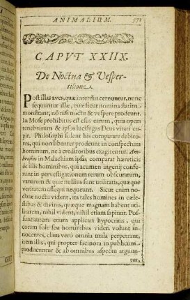 Caput XXIIX. De Noctua & Vespertilione.