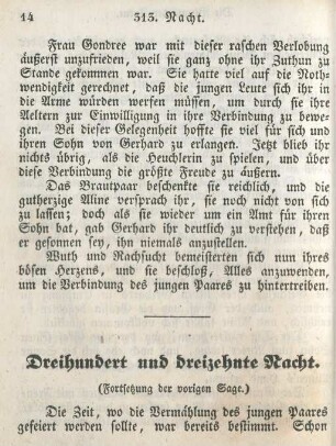Dreihundert und dreizehnte Nacht