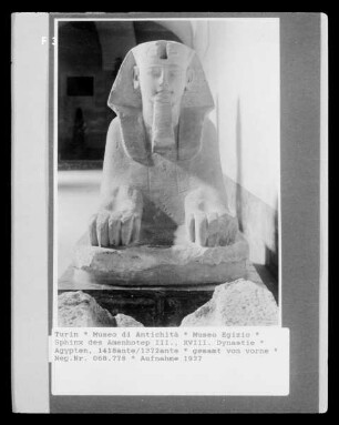 Sphinx des Amenhotep III., XVIII. Dynastie