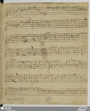 3 Motets - Mus.Löb.22,2 : V (X)